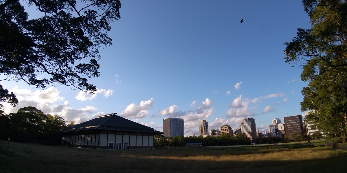 A wide grassy field framed by trees, with a low building under a large dark tiled roof on the left and city high-rises in the distance under a blue sky