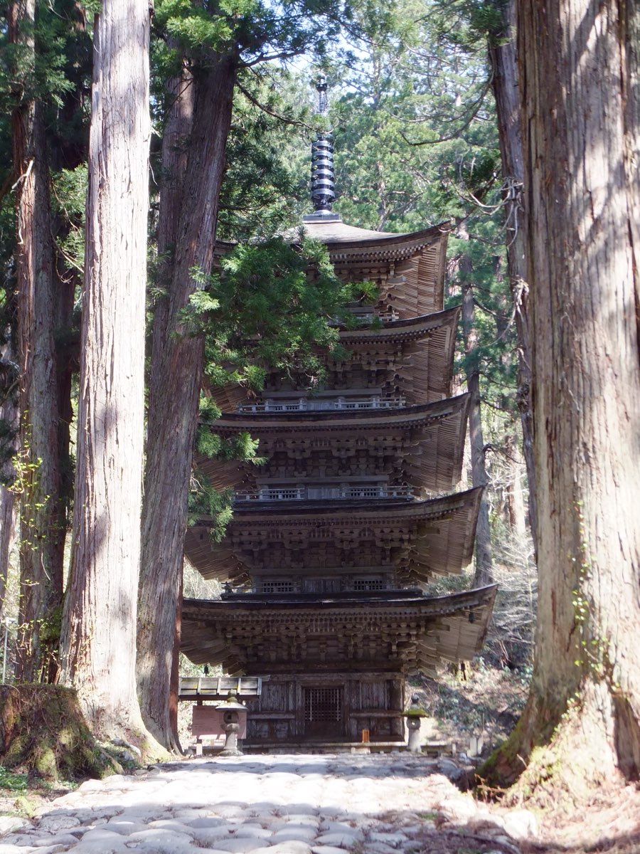 2018年に撮影された、羽黒山の素木造りの五重塔。高い杉の幹の間の石畳の道の先に立つ
