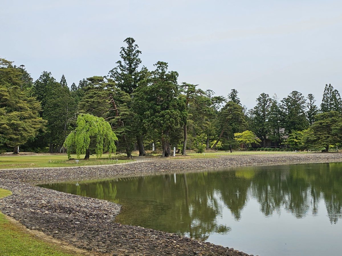 A calm pond edged with a cobbled shore and tall pines and cedars at Mōtsū-ji's Pure Land garden in Hiraizumi, photographed in 2023
