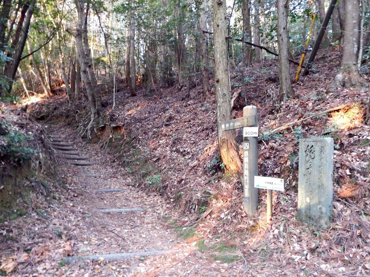 A narrow earthen path with low steps climbing through a forest covered in fallen leaves, with a wooden signpost and an old upright stone marker carved with characters beside the path